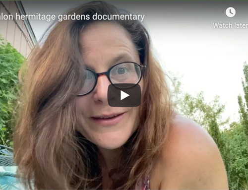 Hanlon Hermitage Gardens Documentary (Short Subject) and Published Essay